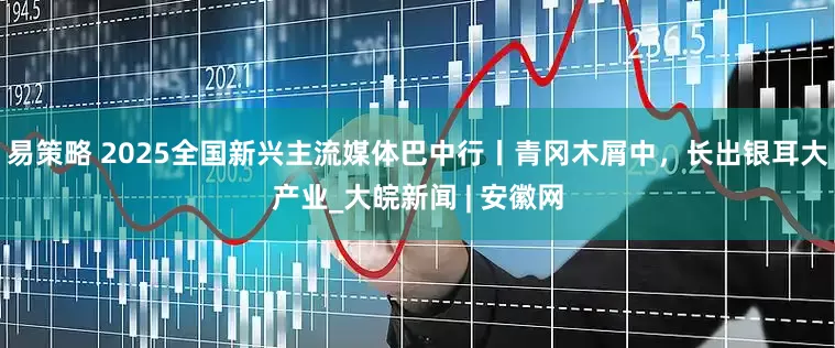 易策略 2025全国新兴主流媒体巴中行丨青冈木屑中，长出银耳大产业_大皖新闻 | 安徽网