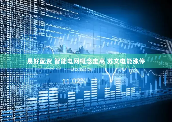 易好配资 智能电网概念走高 苏文电能涨停