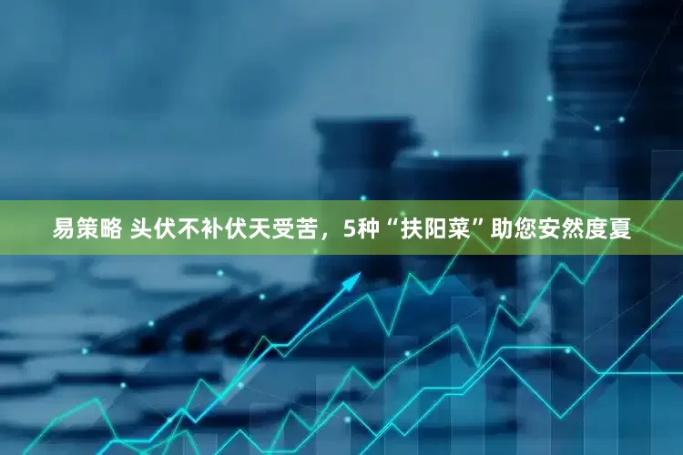 易策略 头伏不补伏天受苦，5种“扶阳菜”助您安然度夏